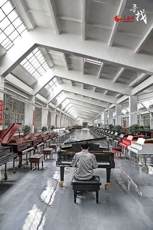 跨界共鳴 鋼琴醫(yī)生與技術(shù)轉(zhuǎn)讓的藝術(shù)與科學(xué)