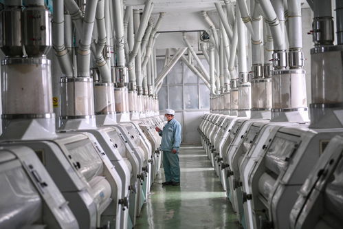 齊魯原創(chuàng)技術(shù)轉(zhuǎn)讓 創(chuàng)新驅(qū)動與產(chǎn)業(yè)升級的雙向賦能